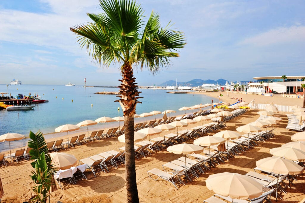Cannes beach with palm tree and lounge chairs