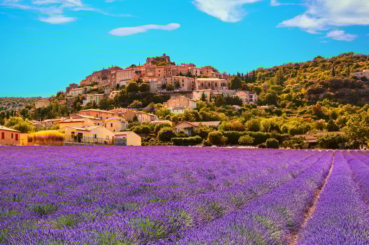 Simiane la Rotonde France with Lavendar fields in bloom in the foreground